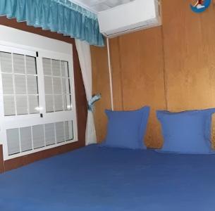 661386440: Travesti en Valencia