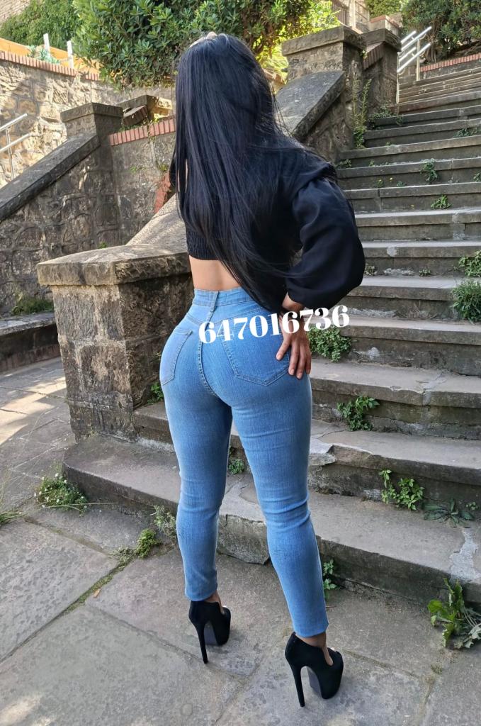 Chica busca chico en Navarra: 