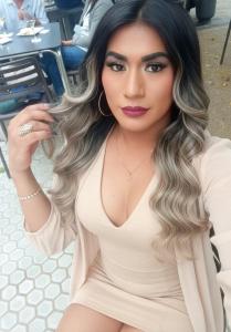 631499316: Travesti en Navarra