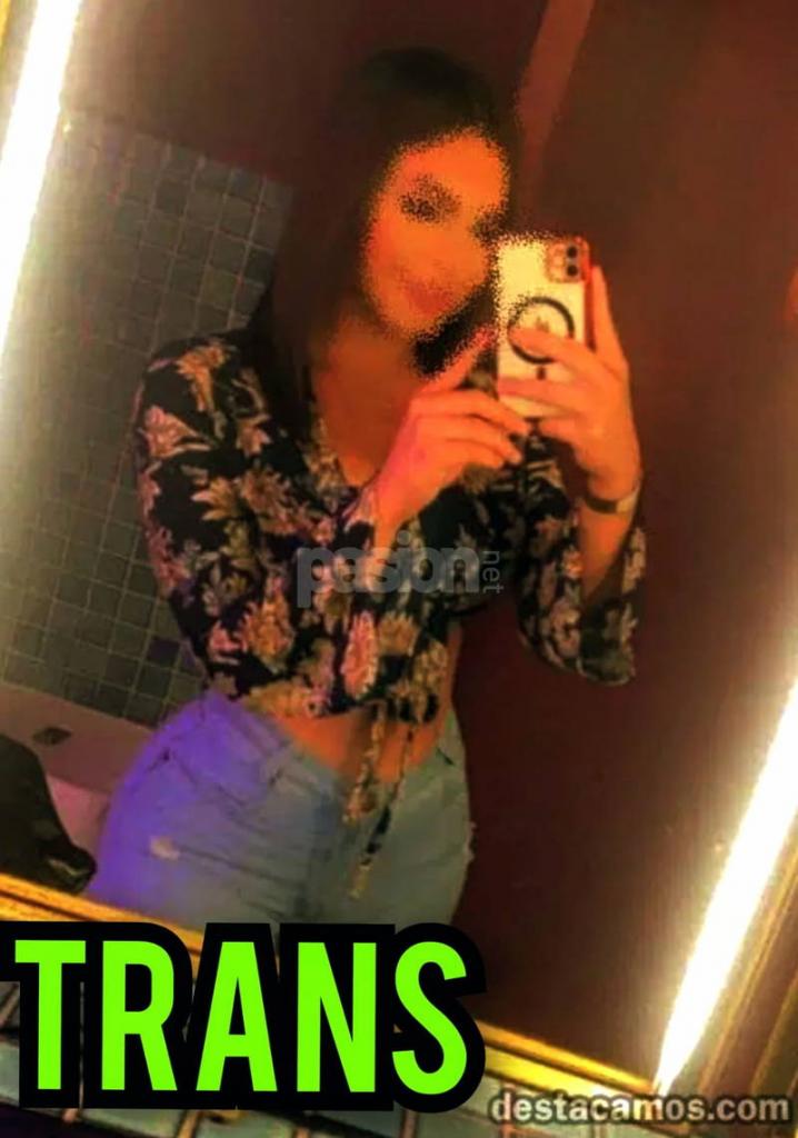 Transexual en Castellón: 